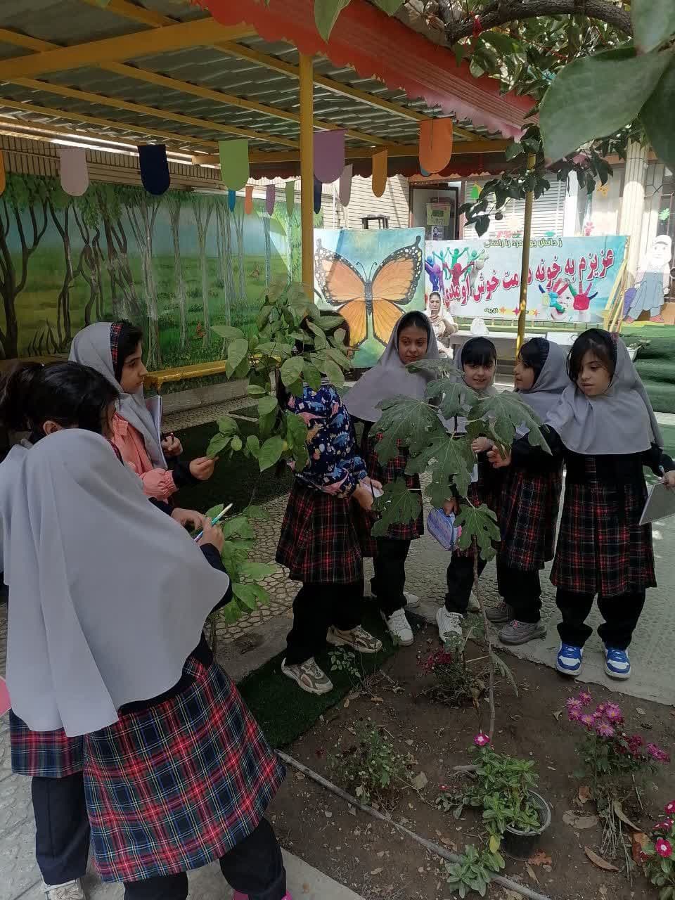 حیاط مدرسه و مشاهده گیاهان