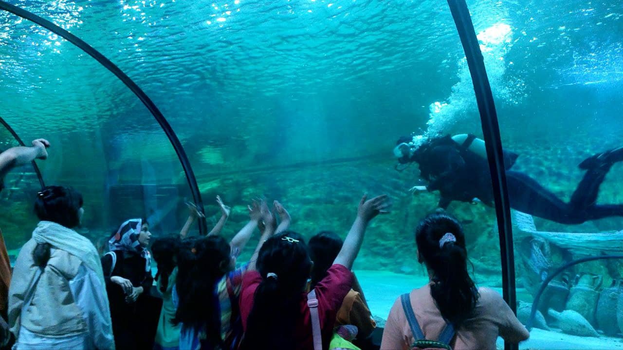 اردوی تابستانه بازدید از کواریوم